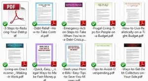 debt-reduction-plr