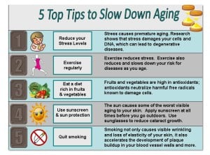 Slow-down-aging-infographic